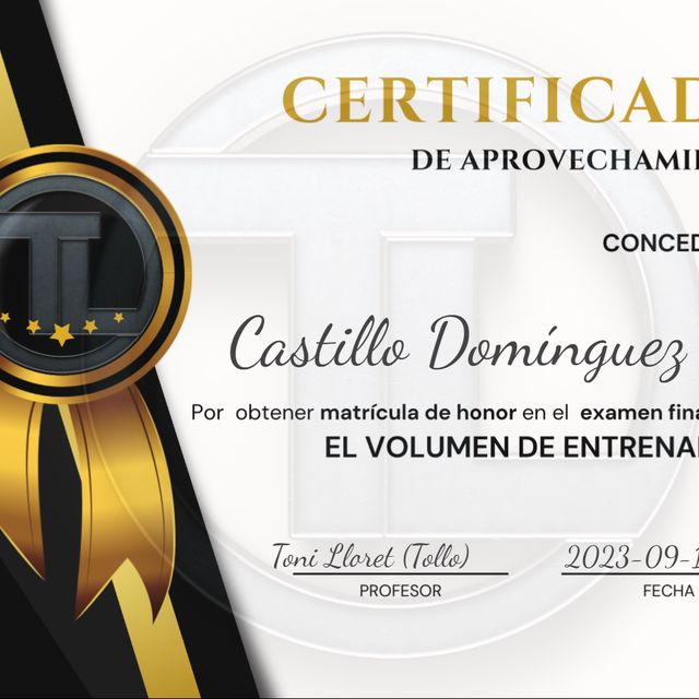 Ampliar imagen: certificate 11