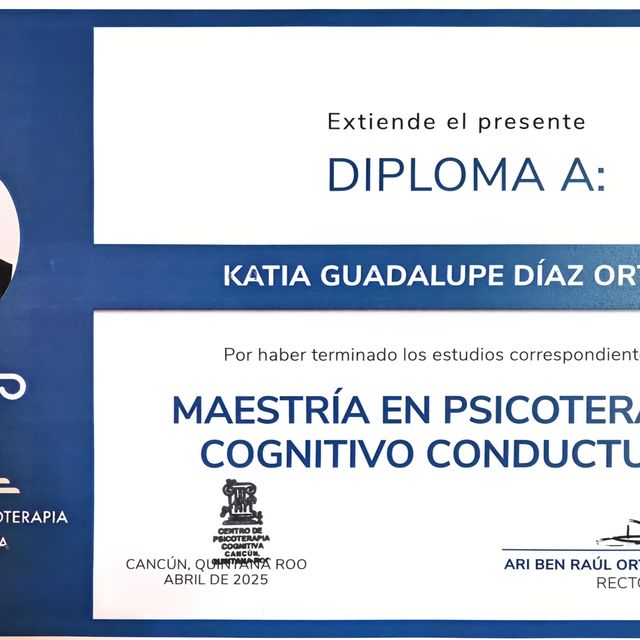 Ampliar imagen: certificate 4