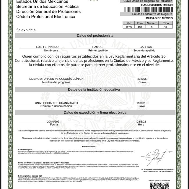 Ampliar imagen: certificate 2