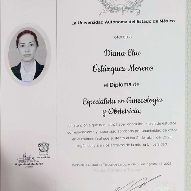 Ampliar imagen: certificate 1
