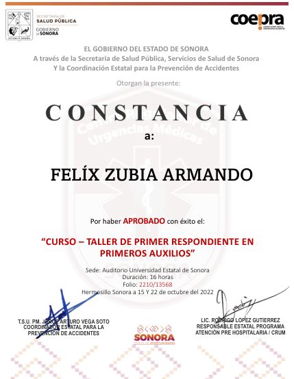 Ampliar imagen: certificate 13