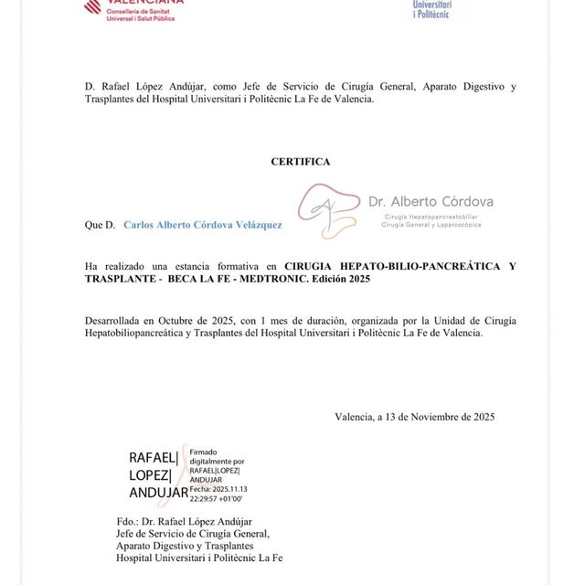 Ampliar imagen: certificate 6