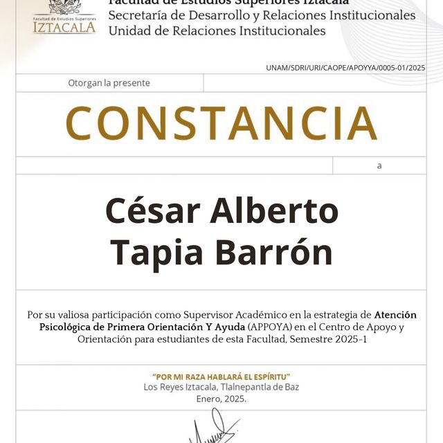 Ampliar imagen: certificate 2