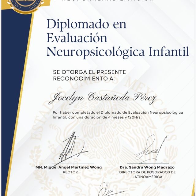 Ampliar imagen: certificate 4
