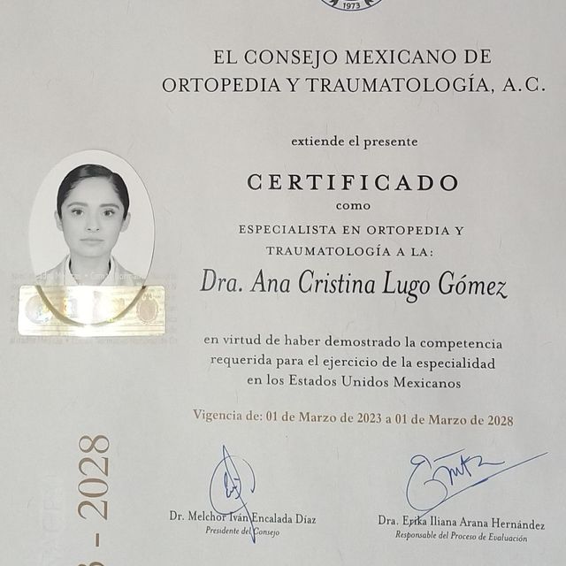 Ampliar imagen: certificate 3