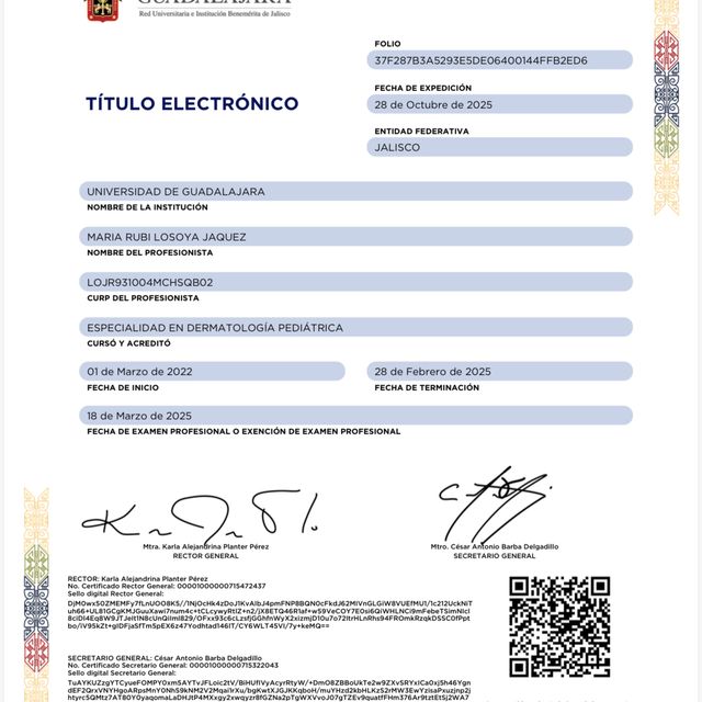Ampliar imagen: certificate 5
