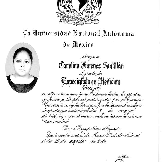 Ampliar imagen: certificate 1