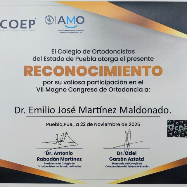 Ampliar imagen: certificate 12