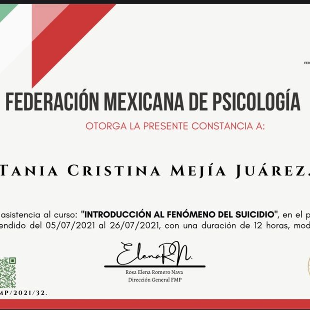 Ampliar imagen: certificate 5
