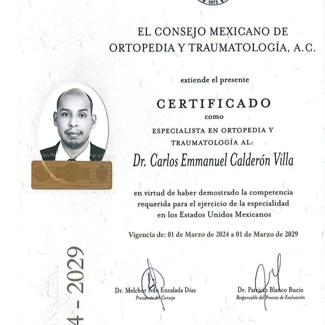 Ampliar imagen: certificate 2