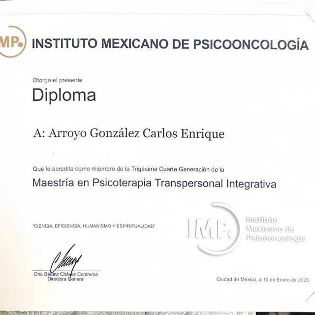 Ampliar imagen: certificate 3