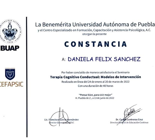 Ampliar imagen: certificate 4