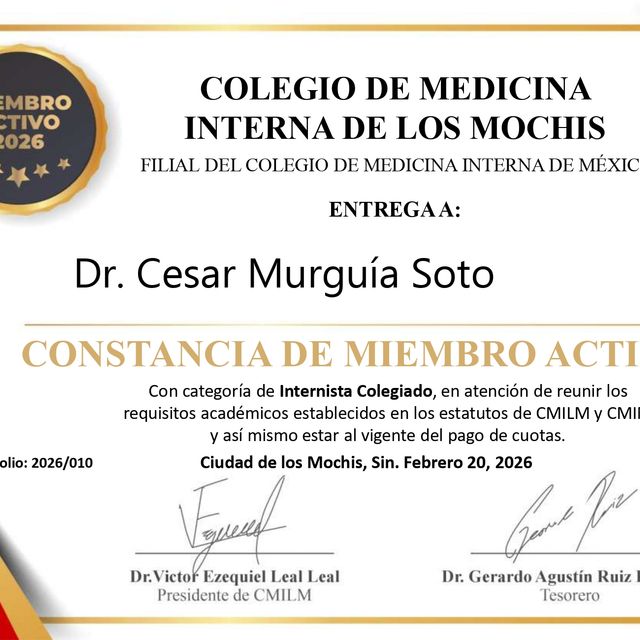 Ampliar imagen: certificate 7