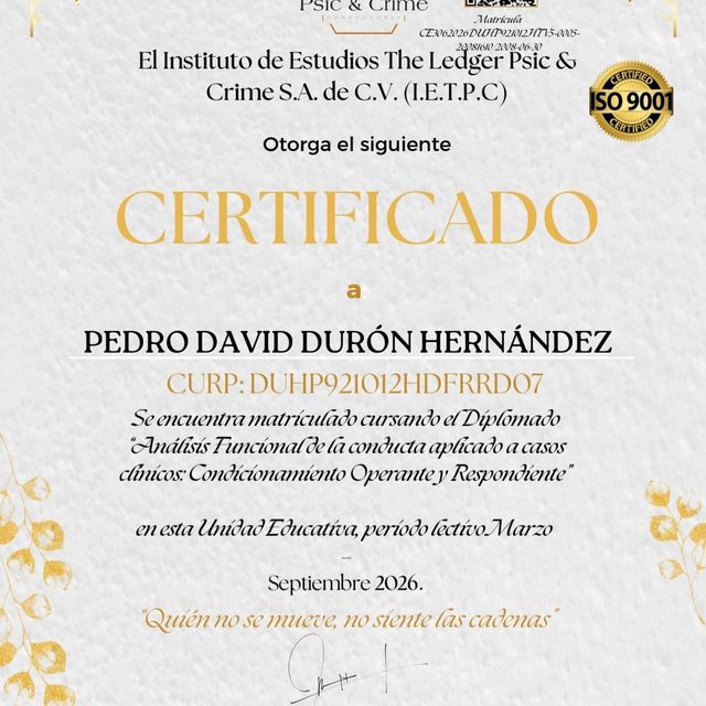 Ampliar imagen: certificate 5