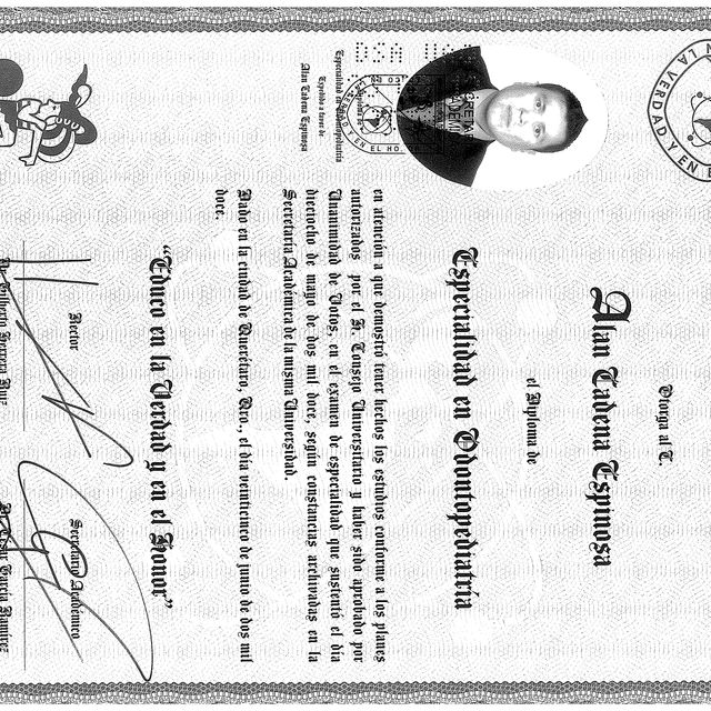 Ampliar imagen: certificate 2