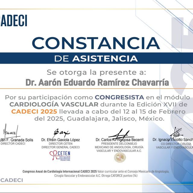 Ampliar imagen: certificate 5