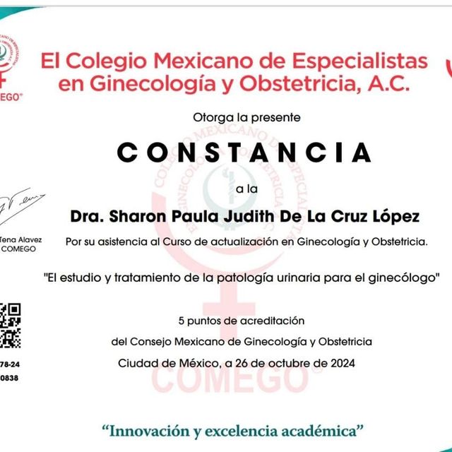 Ampliar imagen: certificate 11