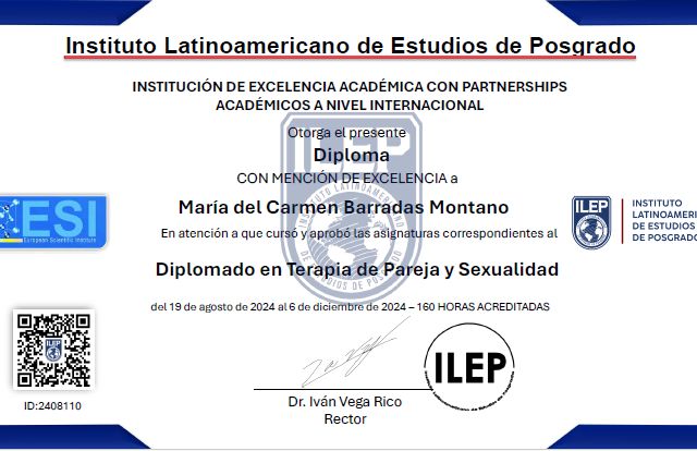 Ampliar imagen: certificate 3