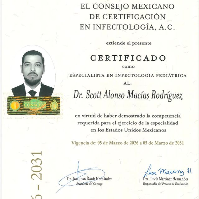 Ampliar imagen: certificate 2