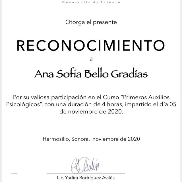 Ampliar imagen: certificate 1