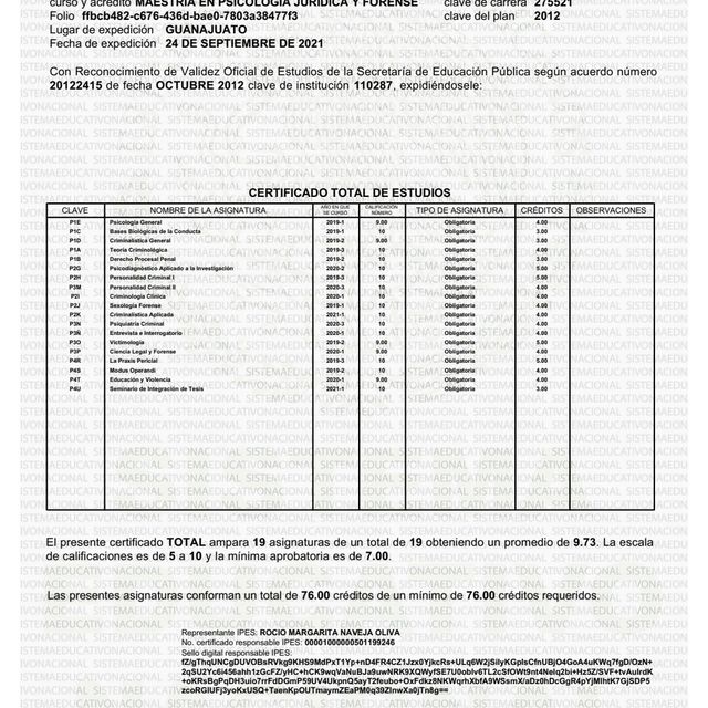 Ampliar imagen: certificate 3