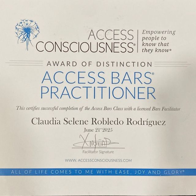 Ampliar imagen: certificate 4