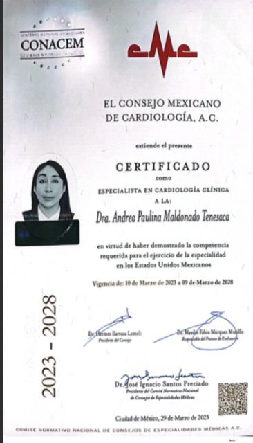 Ampliar imagen: certificate 2
