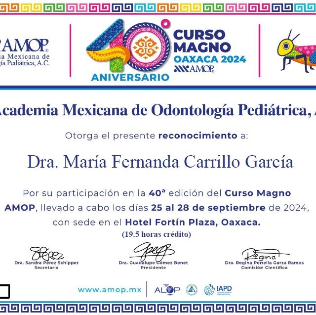 Ampliar imagen: certificate 13