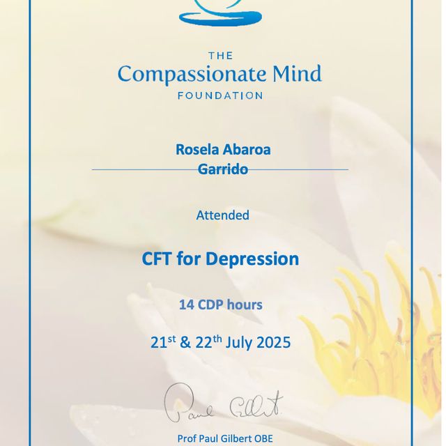 Ampliar imagen: certificate 5