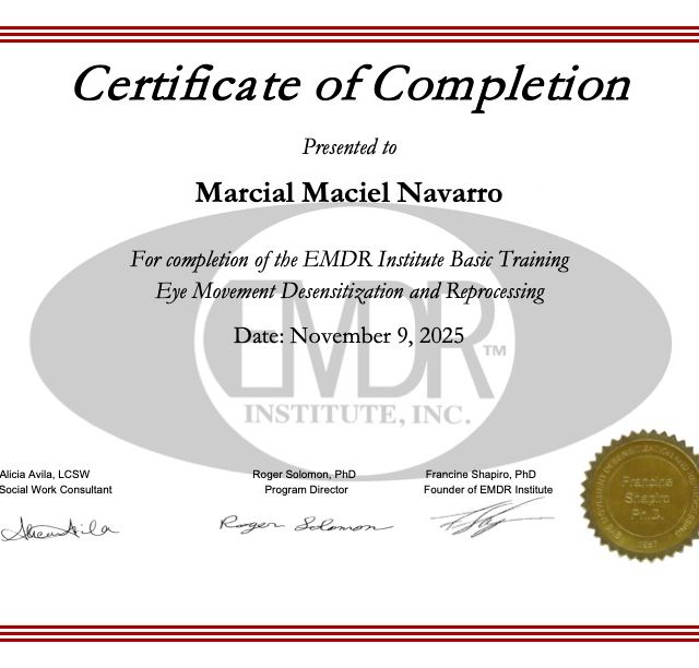 Ampliar imagen: certificate 2