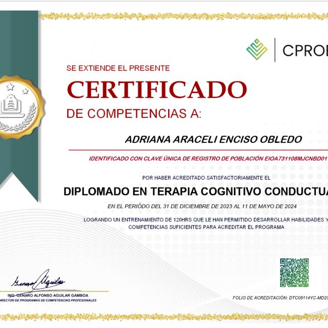 Ampliar imagen: certificate 1