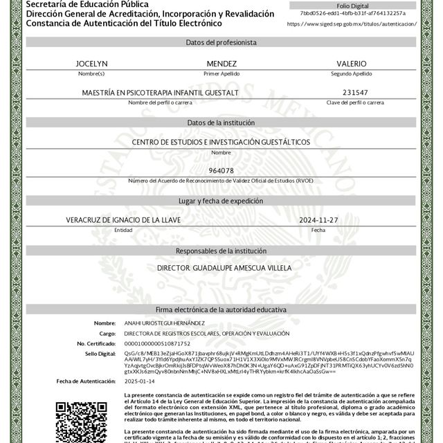Ampliar imagen: certificate 3