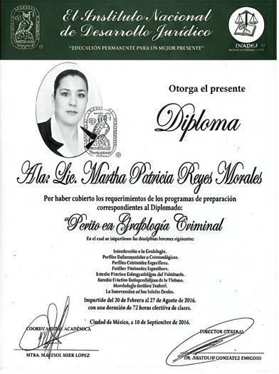 Ampliar imagen: certificate 7