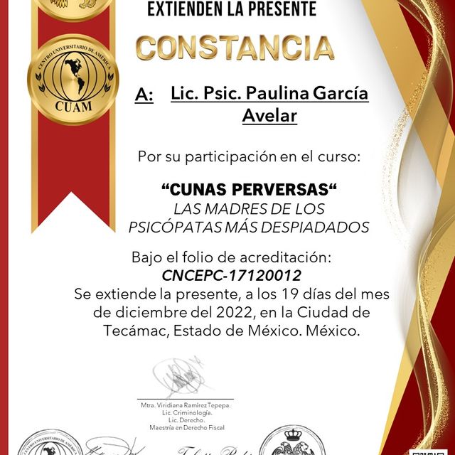 Ampliar imagen: certificate 11