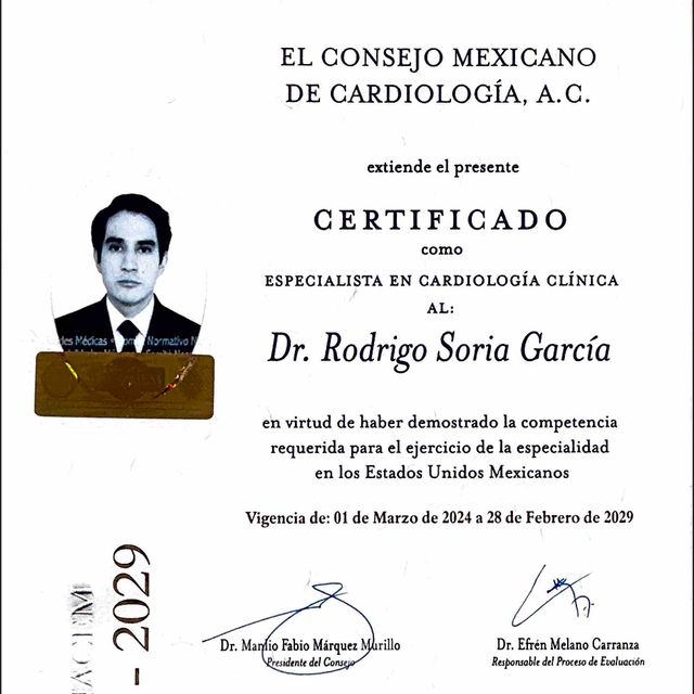 Ampliar imagen: certificate 3