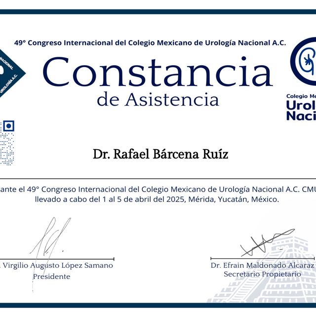 Ampliar imagen: certificate 8