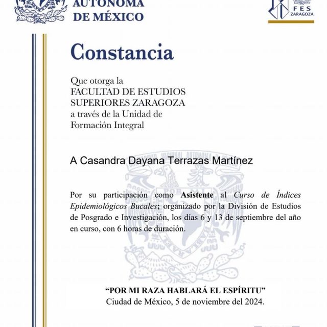 Ampliar imagen: certificate 7