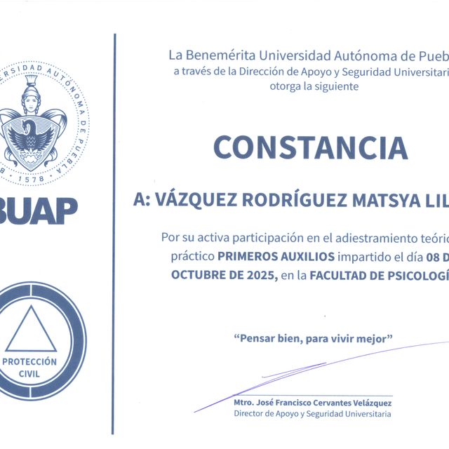 Ampliar imagen: certificate 3