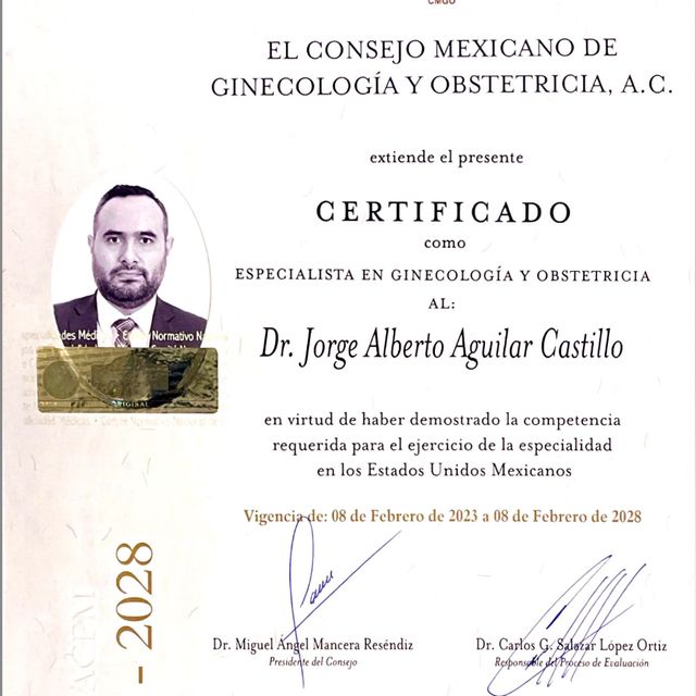 Ampliar imagen: certificate 3