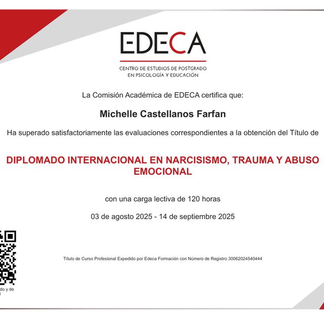 Ampliar imagen: certificate 2