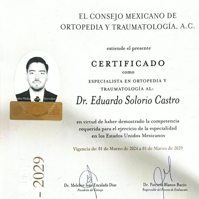 Ampliar imagen: certificate 1