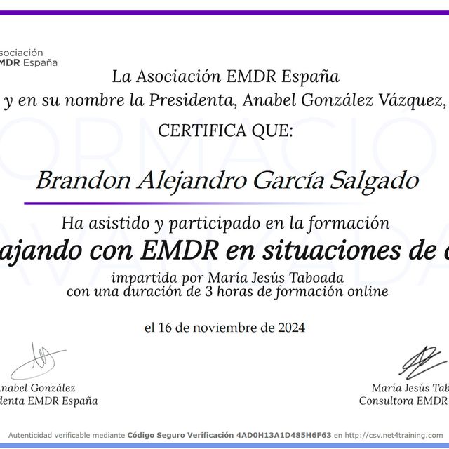 Ampliar imagen: certificate 10