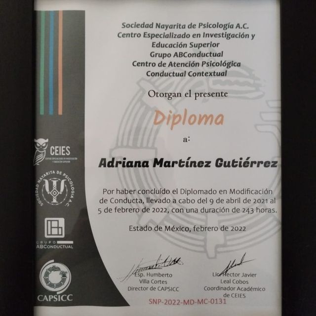 Ampliar imagen: certificate 3