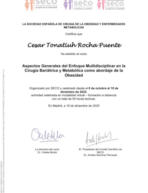 Ampliar imagen: certificate 65