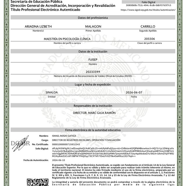 Ampliar imagen: certificate 7