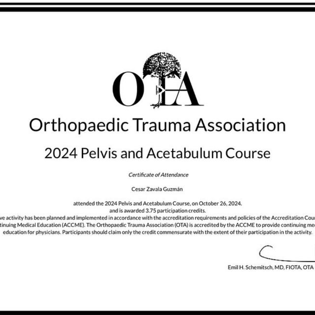 Ampliar imagen: certificate 5