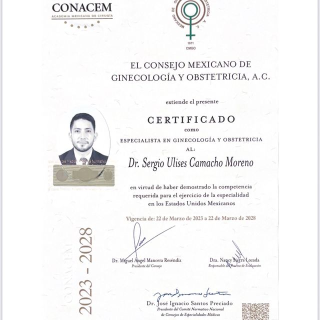 Ampliar imagen: certificate 2
