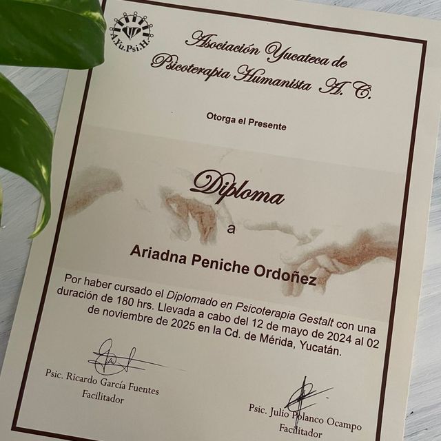 Ampliar imagen: certificate 3