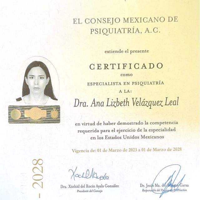 Ampliar imagen: certificate 1