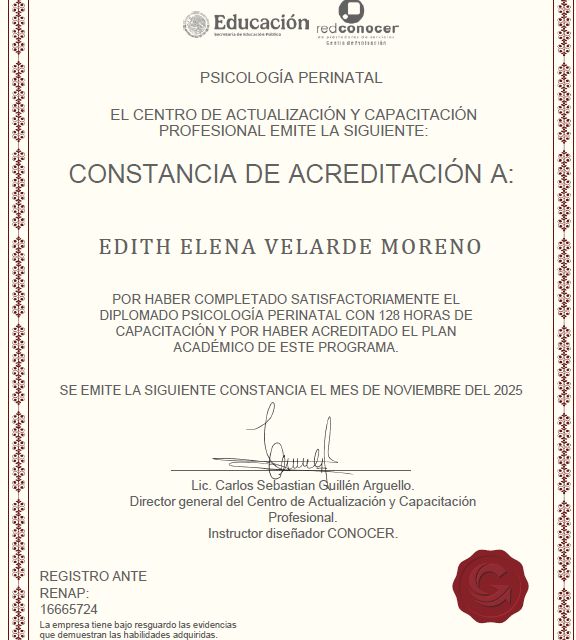 Ampliar imagen: certificate 2
